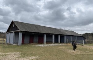 Син волинського лісівника купив конюшню «Поліського лісового офісу» майже за мільйон Син-волинського-лісівника-купив-конюшню-«Поліського-лісового-офісу»-майже-за-мільйон