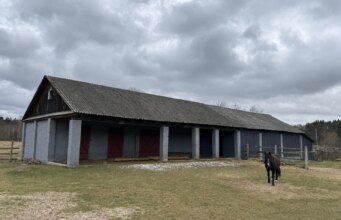 Син волинського лісівника купив конюшню «Поліського лісового офісу» майже за мільйон Син-волинського-лісівника-купив-конюшню-«Поліського-лісового-офісу»-майже-за-мільйон