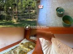 Омбудсман виявив серйозні порушення в таборі “Артек Закарпаття” Пліснява-в-укритті,-гнилі-продукти,-12-дітей-у-кімнаті:-Омбудсман-заявив-про-кричущі-порушення-у.