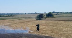 На Волині горіло пшеничне поле. ФОТО На-Волині-горіло-пшеничне-поле.-ФОТО