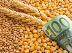 В Україні оновлено мінімальні експортні ціни на агропродукцію В-Україні-тимчасово-скоригували-мінімальні-експортні-ціни-на-агропродукцію,-готують-план-розвитку-переробки-–-Корецький