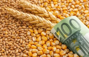 В Україні оновлено мінімальні експортні ціни на агропродукцію В-Україні-тимчасово-скоригували-мінімальні-експортні-ціни-на-агропродукцію,-готують-план-розвитку-переробки-–-Корецький