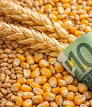 В-Україні-тимчасово-скоригували-мінімальні-експортні-ціни-на-агропродукцію,-готують-план-розвитку-переробки-–-Корецький