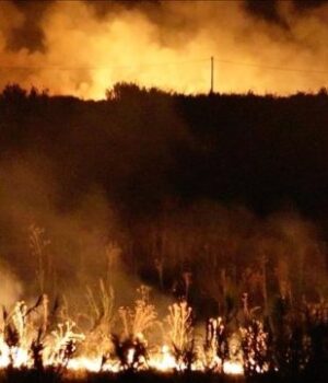 Збитки-від-лісових-пожеж-у-Європі-перевищили-e3-мільярди Збитки-від-лісових-пожеж-у-Європі-перевищили-e3-мільярди