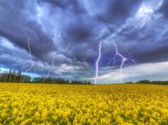 Після аномальної спеки в Україну увірвуться грози, шквали та град, – синоптик Після-аномальної-спеки-в-Україну-увірвуться-грози,-шквали-та-град,-–-синоптик