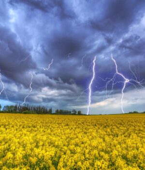 Після-аномальної-спеки-в-Україну-увірвуться-грози,-шквали-та-град,-–-синоптик