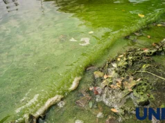 Обміління річок в Україні: наслідки зміни клімату та людської діяльності Раннє-цвітіння-та-швидке-обміління-–-що-чекає-на-річки-в-Україні