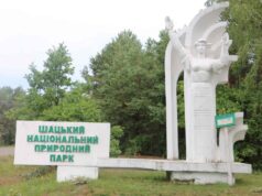 ДБР розслідує можливі зловживання з вирубкою лісу в нацпарку на Волині ДБР-розслідує-можливі-зловживання-з-вирубкою-лісу-в-нацпарку-на-Волині