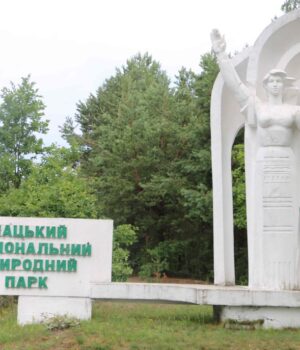 ДБР-розслідує-можливі-зловживання-з-вирубкою-лісу-в-нацпарку-на-Волині