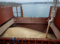 Експорт зерна з України може впасти більш ніж удвічі Експорт зерна з України може впасти більш ніж удвічі