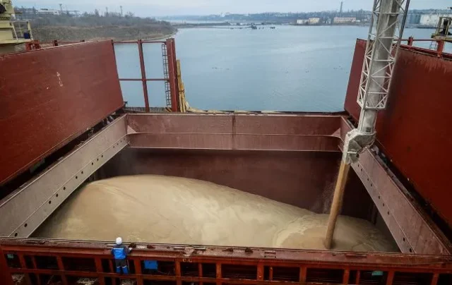 Експорт зерна з України може впасти більш ніж удвічі Експорт зерна з України може впасти більш ніж удвічі