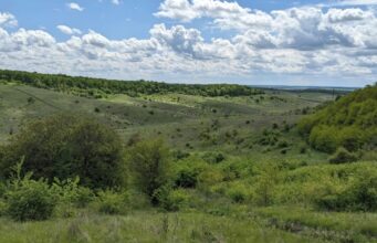 Голову сільради на Волині підозрюють у пособництві в незаконній рубці лісу Голову-сільради-на-Волині-підозрюють-у-пособництві-в-незаконній-рубці-лісу