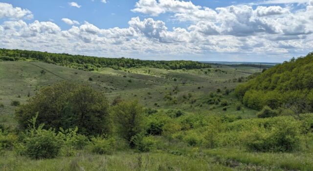 Голову сільради на Волині підозрюють у пособництві в незаконній рубці лісу Голову-сільради-на-Волині-підозрюють-у-пособництві-в-незаконній-рубці-лісу