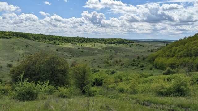 Голову сільради на Волині підозрюють у пособництві в незаконній рубці лісу Голову-сільради-на-Волині-підозрюють-у-пособництві-в-незаконній-рубці-лісу