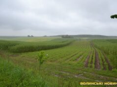 На Волині громаді намагаються повернути 70 гектарів земель, на яких господарює агрокомпанія Тігіпка На-Волині-громаді-намагаються-повернути-70-гектарів-земель,-на-яких-господарює-агрокомпанія-Тігіпка