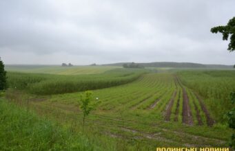 На Волині громаді намагаються повернути 70 гектарів земель, на яких господарює агрокомпанія Тігіпка На-Волині-громаді-намагаються-повернути-70-гектарів-земель,-на-яких-господарює-агрокомпанія-Тігіпка