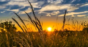 Погода в Україні: спекотні дні з короткочасними дощами Спека-до-+33°-повертається,-але-ненадовго-–-якої-погоди-чекати-в-Україні-у-найближчі-три.