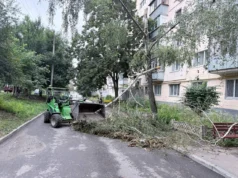 Фото: у Харкові через негоду впало близько 20 дерев Фото: у Харкові через негоду впало близько 20 дерев
