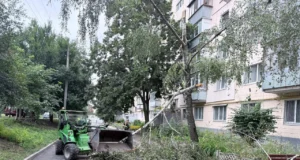 Фото: у Харкові через негоду впало близько 20 дерев Фото: у Харкові через негоду впало близько 20 дерев