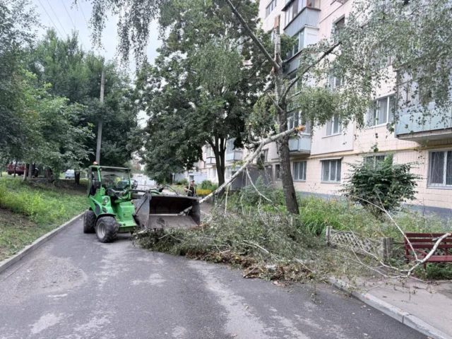 Фото: у Харкові через негоду впало близько 20 дерев Фото: у Харкові через негоду впало близько 20 дерев