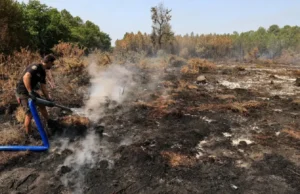 У Франції затримано понад 400 осіб за підпали лісів У-Франції-затримали-понад-400-осіб-за-підпали-лісів