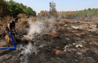 У Франції затримано понад 400 осіб за підпали лісів У-Франції-затримали-понад-400-осіб-за-підпали-лісів