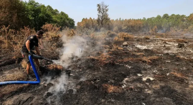 У Франції затримано понад 400 осіб за підпали лісів У-Франції-затримали-понад-400-осіб-за-підпали-лісів