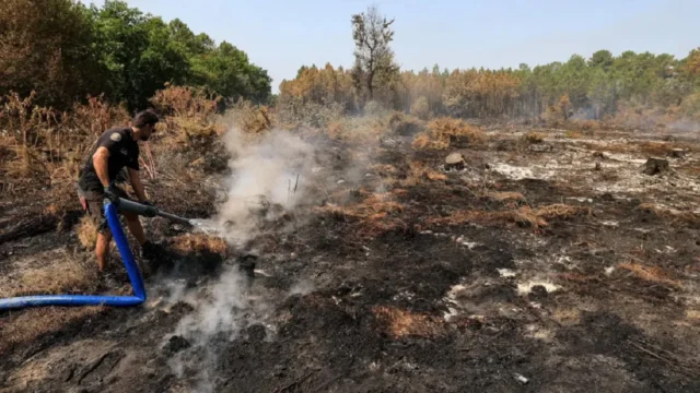 У Франції затримано понад 400 осіб за підпали лісів У-Франції-затримали-понад-400-осіб-за-підпали-лісів