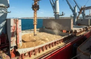 Обмеження експорту зерна з України через низький рівень води у Дунаї Експорт-зерна-з-України-стикається-з-новими-обмеженнями-через-рекордно-низький-рівень-води-у-Дунаї.