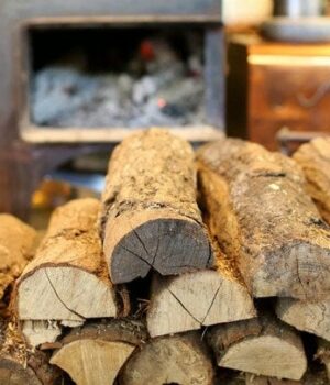 Запасайтеся-котлами-і дровами:-у Раді-закликали-українців-готуватися-до складної-зими