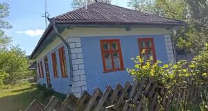 Родина купила хату в селі на Одещині за $1700: як вона виглядає Родина-купила-хату-в-селі-на-Одещині-за-$1700:-як-вона-виглядає