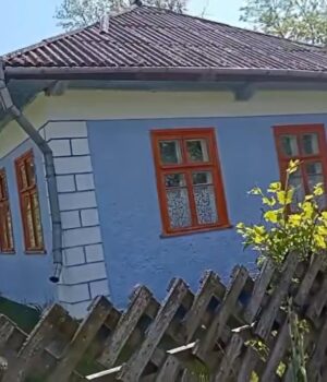 Родина-купила-хату-в-селі-на-Одещині-за-$1700:-як-вона-виглядає Родина-купила-хату-в-селі-на-Одещині-за-$1700:-як-вона-виглядає