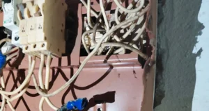 У Миколаєві в електрощитовій багатоповерхівки виявили бойову гранату У Миколаєві в електрощитовій багатоповерхівки виявили бойову гранату