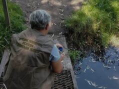 Помітили мертву рибу. У Луцьку перевіряють можливе забруднення Сапалаївки Помітили-мертву-рибу.-У-Луцьку-перевіряють-можливе-забруднення-Сапалаївки