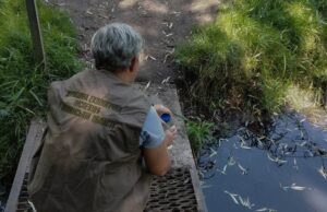 Помітили мертву рибу. У Луцьку перевіряють можливе забруднення Сапалаївки Помітили-мертву-рибу.-У-Луцьку-перевіряють-можливе-забруднення-Сапалаївки