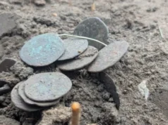 На Полтавщині археологи знайшли скарб із 118 мідних монет XIV століття На Полтавщині археологи знайшли скарб із 118 мідних монет XIV століття