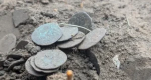 На Полтавщині археологи знайшли скарб із 118 мідних монет XIV століття На Полтавщині археологи знайшли скарб із 118 мідних монет XIV століття