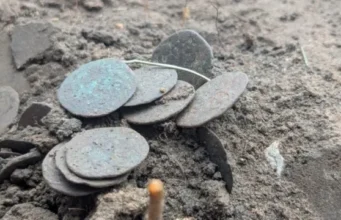 На Полтавщині археологи знайшли скарб із 118 мідних монет XIV століття На Полтавщині археологи знайшли скарб із 118 мідних монет XIV століття