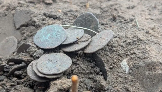 На Полтавщині археологи знайшли скарб із 118 мідних монет XIV століття На Полтавщині археологи знайшли скарб із 118 мідних монет XIV століття
