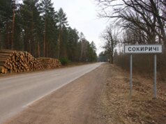 На Волині за незаконну рубку на майже два мільйони гривень судили лісничого На-Волині-за-незаконну-рубку-на-майже-два-мільйони-гривень-судили-лісничого