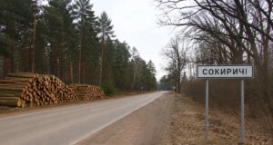 На Волині за незаконну рубку на майже два мільйони гривень судили лісничого На-Волині-за-незаконну-рубку-на-майже-два-мільйони-гривень-судили-лісничого