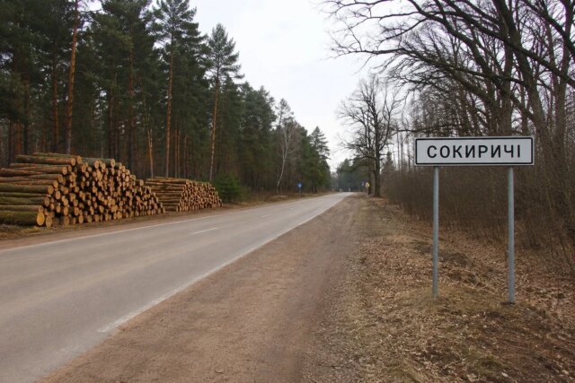 На Волині за незаконну рубку на майже два мільйони гривень судили лісничого На-Волині-за-незаконну-рубку-на-майже-два-мільйони-гривень-судили-лісничого