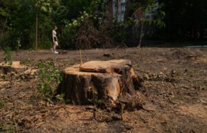 У Києві призупинено будівництво тепломережі через протест місцевих жителів Тепломережа-проти-більш-ніж-600-дерев-на-Теремках:-чи-дійсно-альтернативи-немає,-як-заявляє-КМДА