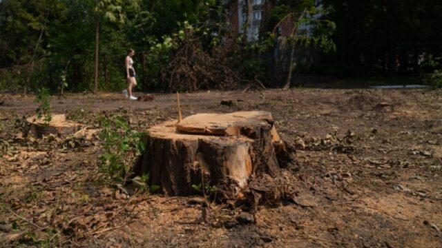 У Києві призупинено будівництво тепломережі через протест місцевих жителів Тепломережа-проти-більш-ніж-600-дерев-на-Теремках:-чи-дійсно-альтернативи-немає,-як-заявляє-КМДА