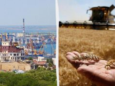 Російські удари по десятках зерновозів біля України загрожують світовим поставкам їжі, – NYT Російські-удари-по-десятках-зерновозів-біля-України-загрожують-світовим-поставкам-їжі,-–-nyt