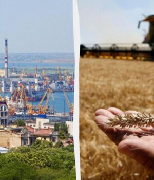 Російські-удари-по-десятках-зерновозів-біля-України-загрожують-світовим-поставкам-їжі,-–-nyt