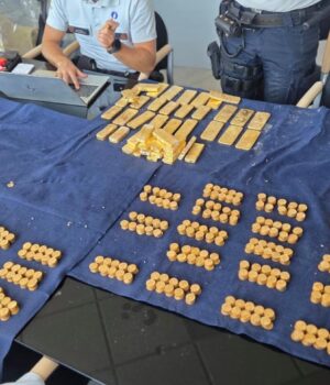 Студент-знайшов-у-підвалі-золотий-скарб:-він-не-знає,-чи-отримає-хоч-якусь-винагороду