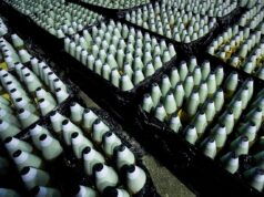 Литва та українська компанія DEMZ запустять виробництво боєприпасів У Литві з’явиться завод боєприпасів для потреб України та НАТО