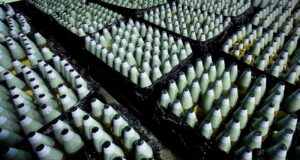 Литва та українська компанія DEMZ запустять виробництво боєприпасів У Литві з’явиться завод боєприпасів для потреб України та НАТО