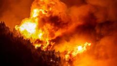 Масштабні лісові пожежі в Хорватії призвели до евакуації тисяч людей У-Хорватії-тисячі-людей-евакуювали-через-масштабні-лісові-пожежі